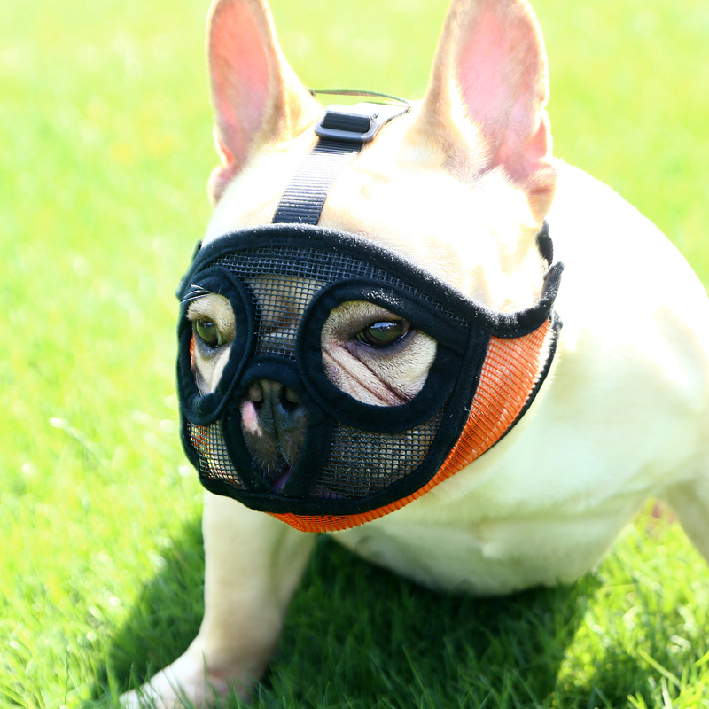 Hoopet Pet Small Dog French Bulldog Muzzle Dog Mouse Basket Breathable Muzzle For Dogs Leash Harness Supplies — image 7