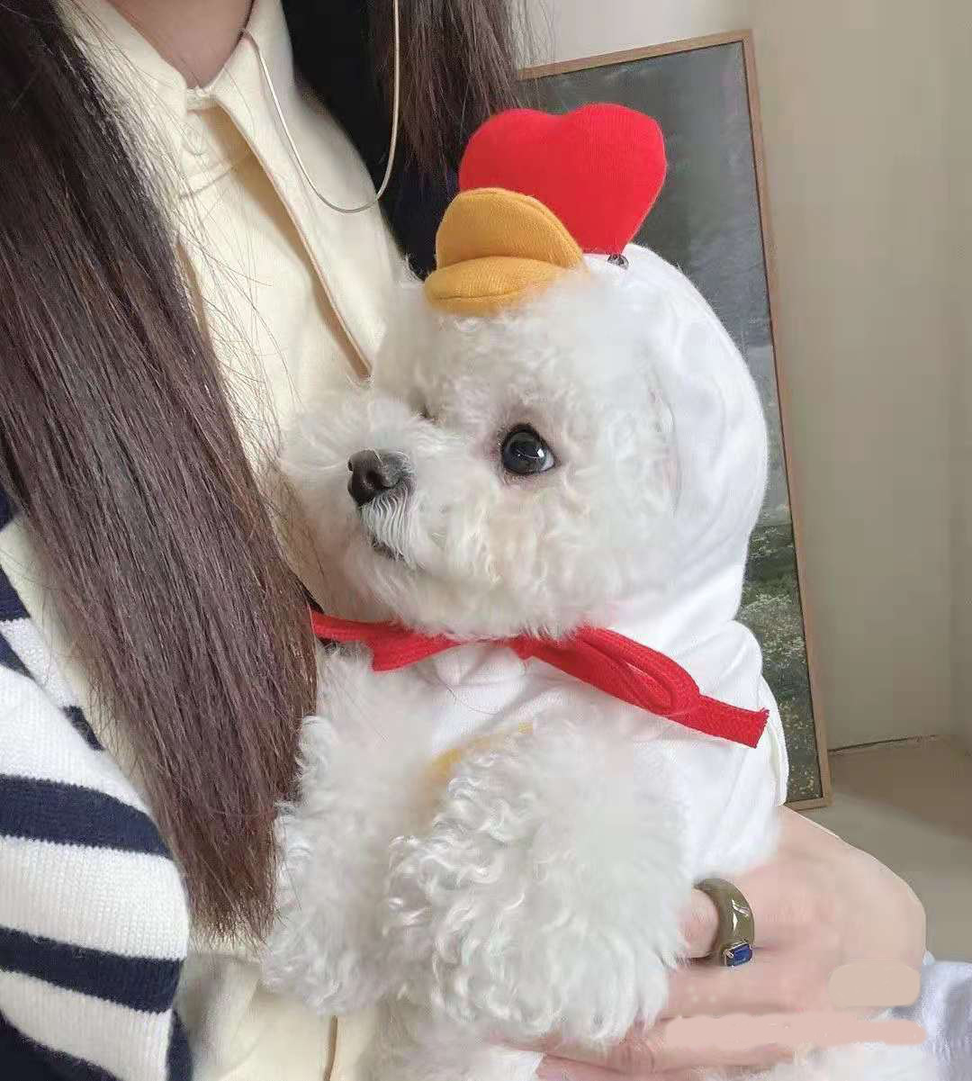 Chick Transformed Dog Cat Small Medium-Sized Dog Autumn And Winter Sweatshirt Scratch Pet Clothes Supplies Teddy Fighting Bichon — image 5