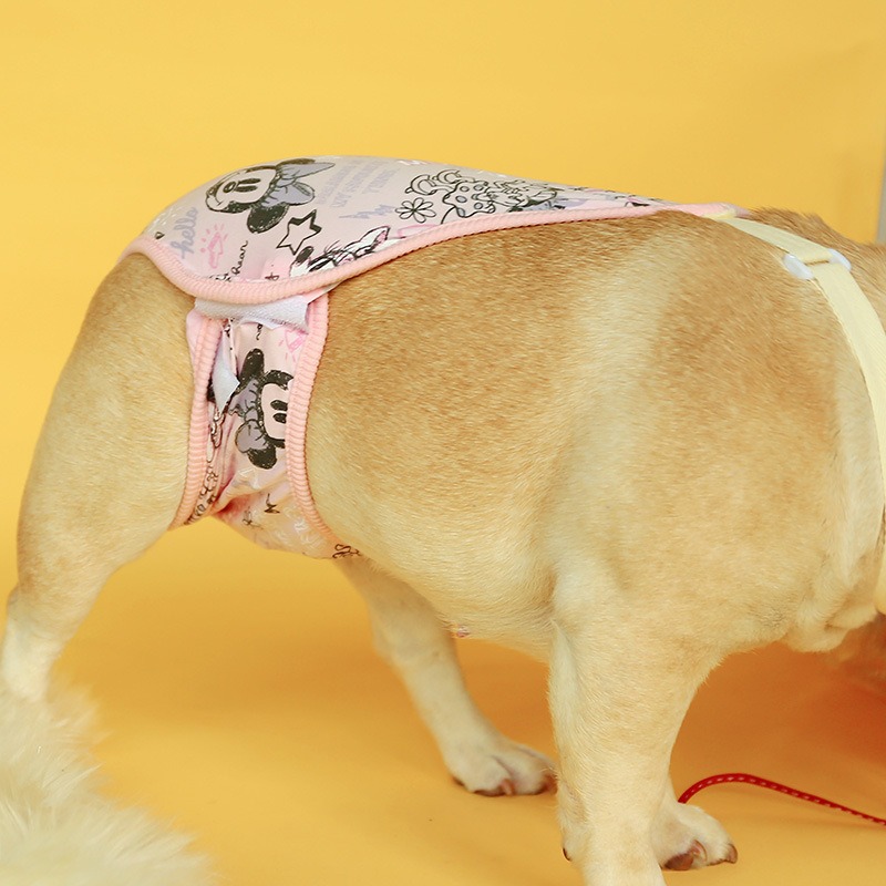 Pantalones Fisiológicos para Perros - Talla XS — imagen 3