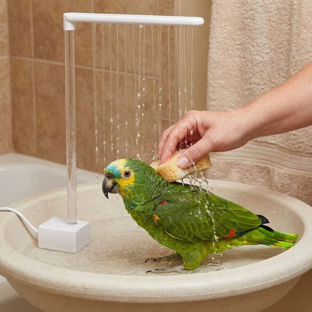 Bomba de Baño Automática para Loros Silenciosa Alta Circulación Energía Ahorradora — imagen 1