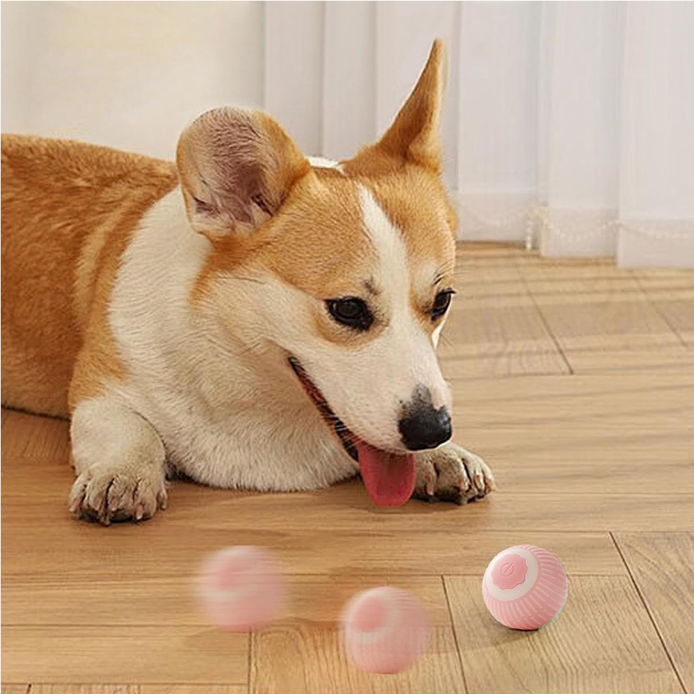Pelota Interactiva Eléctrica para Perros y Gatos, Juego Inteligente para Interior — imagen 15
