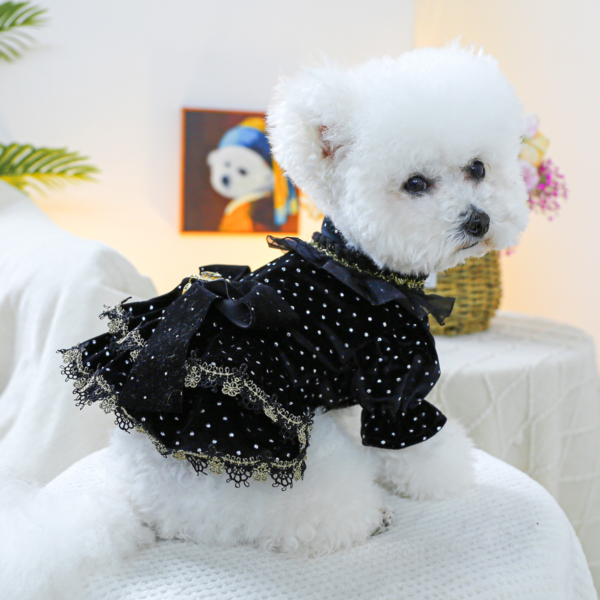 Pet Clothes Spring Autumn Small Dog Puppy Dark Black Festival Party Atmosphere Black Gold Dress Skirt — image 3