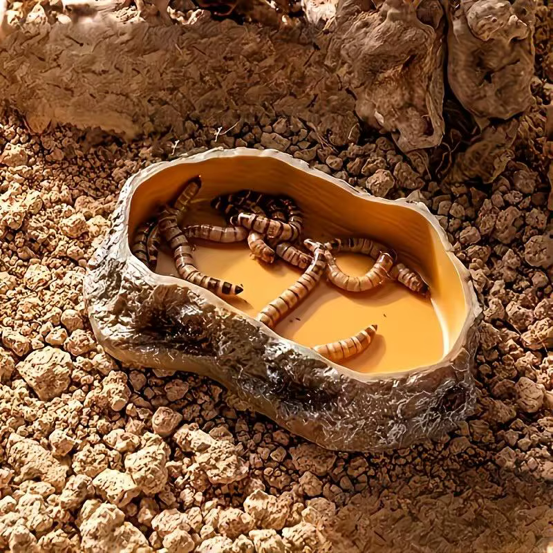 Suitable For Indoor Reptile Landscaping 1-piece Rock-shaped Reptile Water And Food Tray, Leak-proof And Easy To Clean — image 5