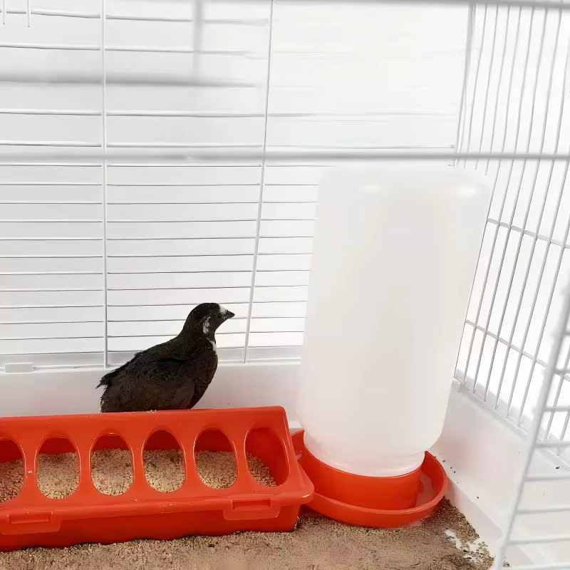 Alimentador Automático de Pollo y Agua para Corderos, Codornices y Pichones - Capacidad Grande — imagen 1