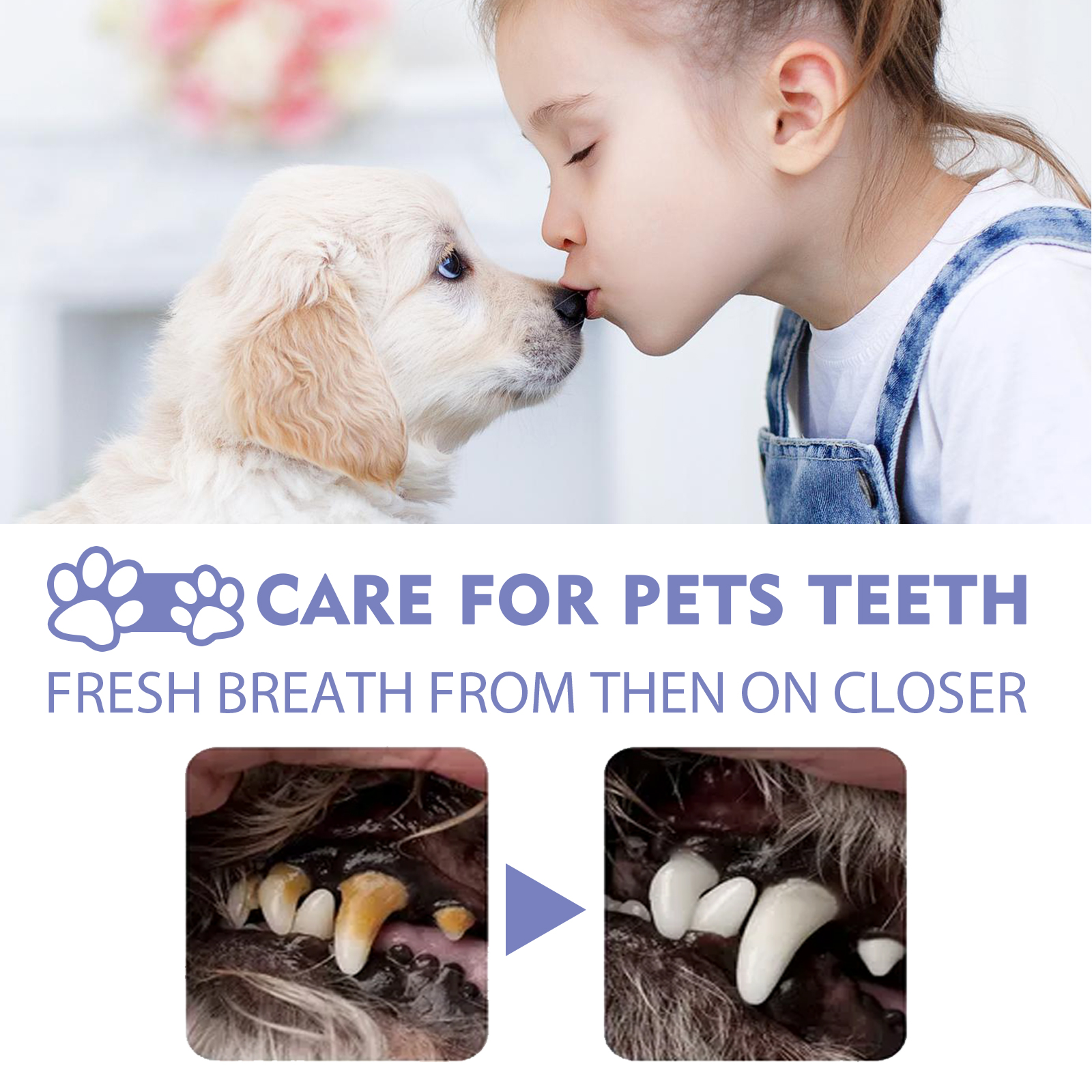 Yegbong Dog And Cat Tooth Cleaning Spray, Pet Mouth Cleaning Breath Fresh Deodorizing Cleaning Spray — image 5