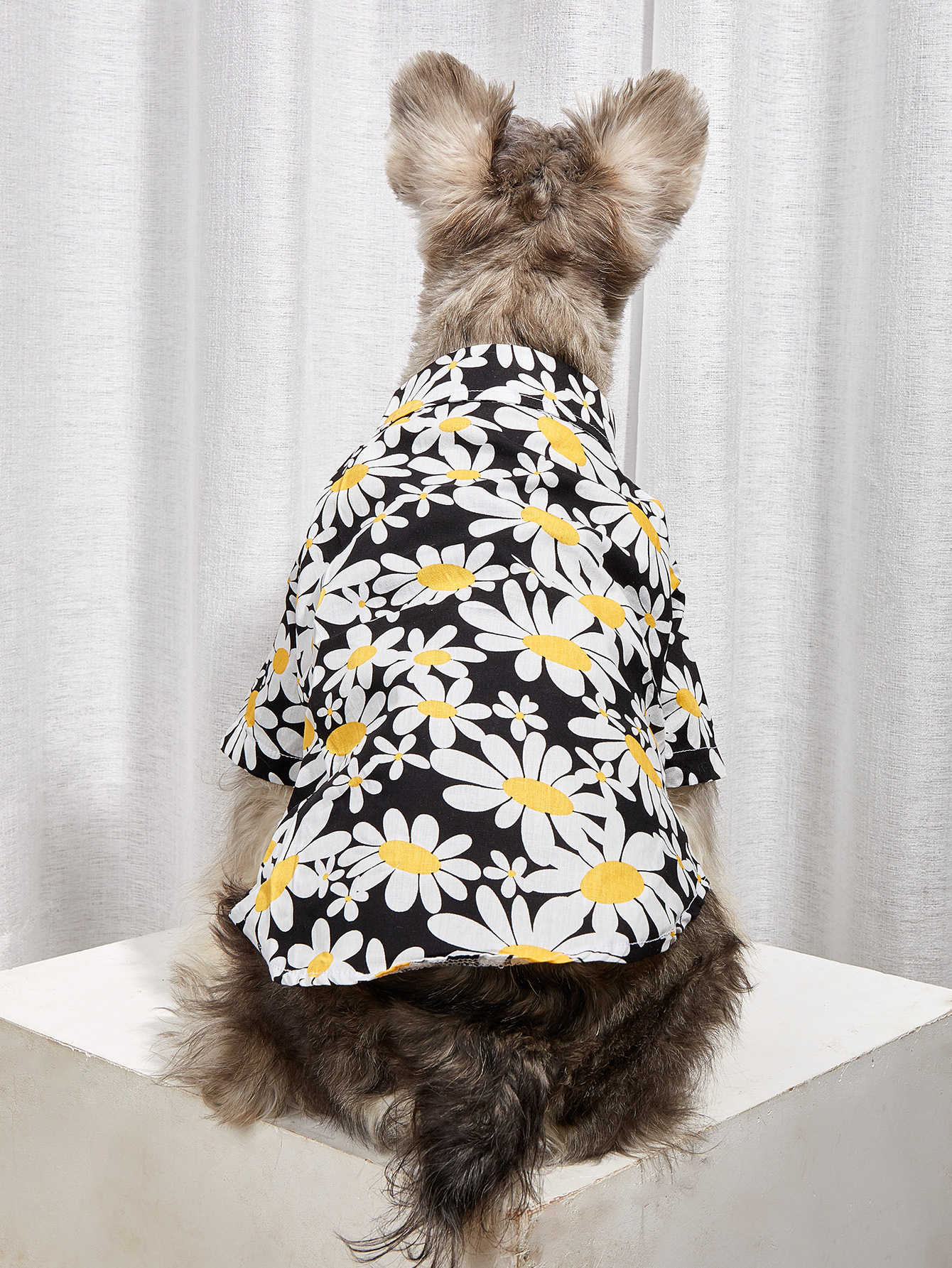 Ropa de Teddy para Perros Pequeños de Verano y Otoño, Sección Delgada para Canes Bichón, Pomerania, Schnauzer y Otros — imagen 2