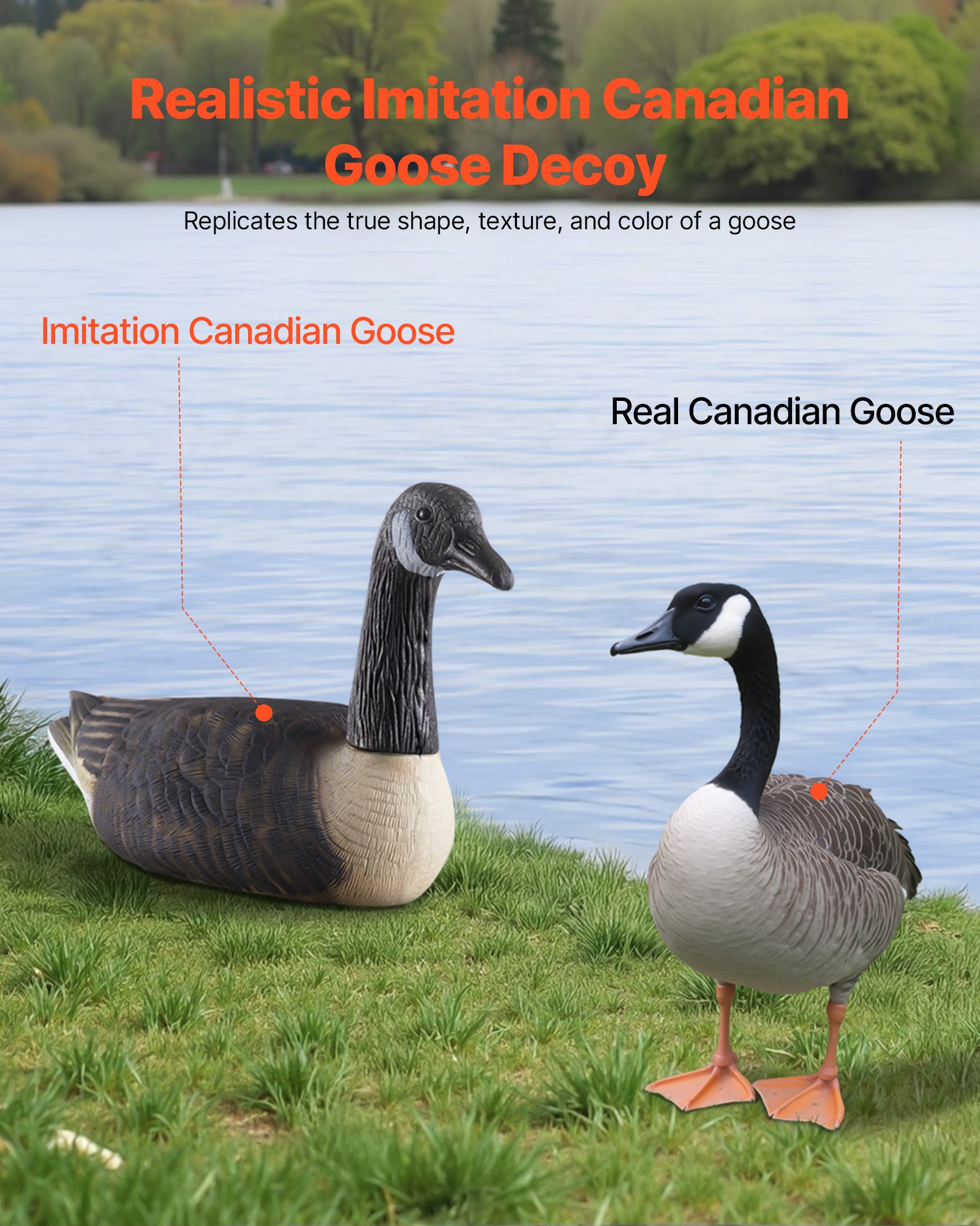 Decores de Ganso Canadá, Decoy para Caza de Aves Acuáticas, Flotadores Plásticos Duraderos con Pintura Ultra Realista, Para Piscina, Estanque, Lago, Decoración de Jardín y Patio, Fáciles de Transportar y Usar, 6 Unidades — imagen 2