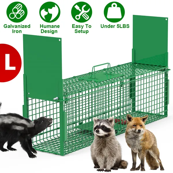 Live Animal Cage Trap For Animals Under Easy To Setup Humane Galvanized Iron Trap Cage For Raccoons Armadillos Groundhogs Muskrats Opossums Skunks — image 1