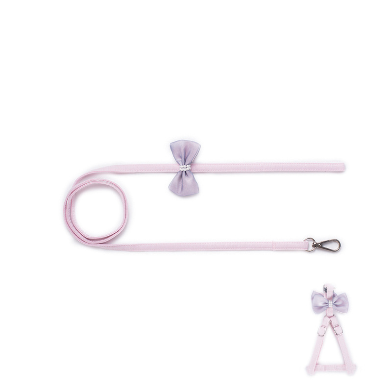 New Pet Corset Suit Small And Medium-Sized Dog Leash Fashionable Dog Walking Corset — image 4