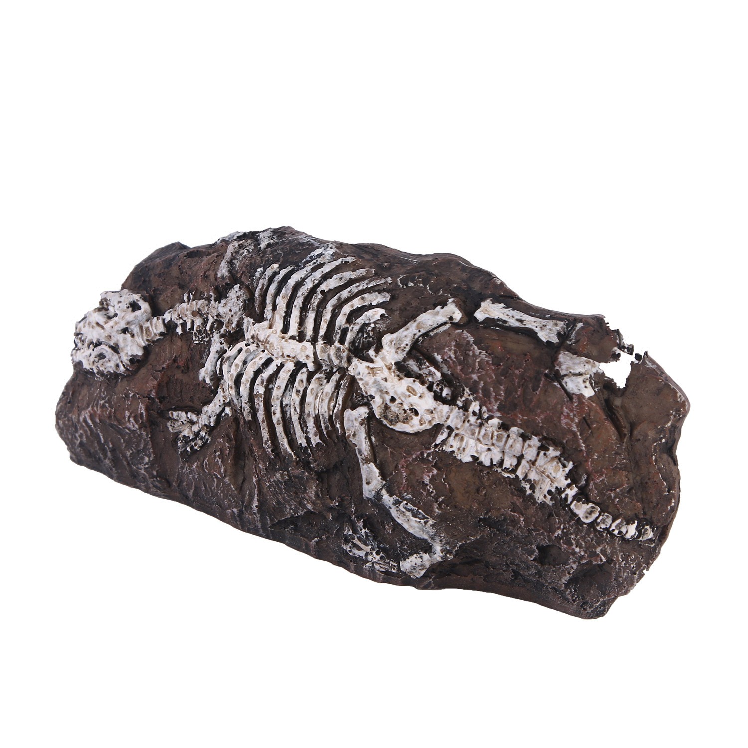 Decoraciones de resina para acuario Fossil — imagen 1