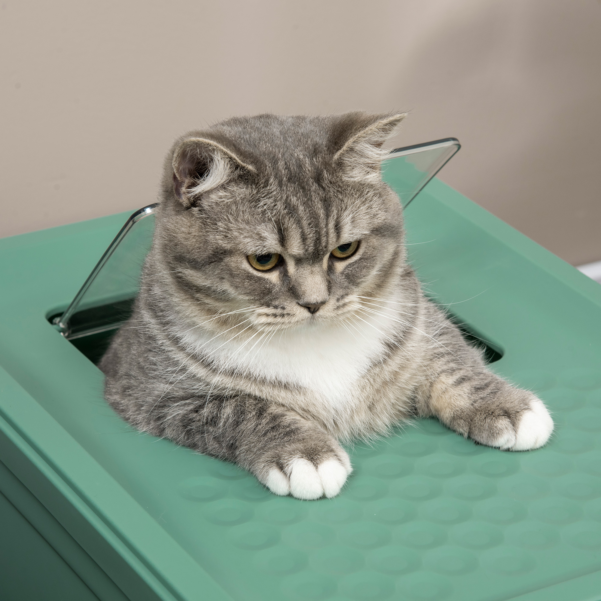 Caja de Arena para Gatos Sellada con Entrada en Frente y Salida por el Techo, Plástico, Verde y Blanco — imagen 2