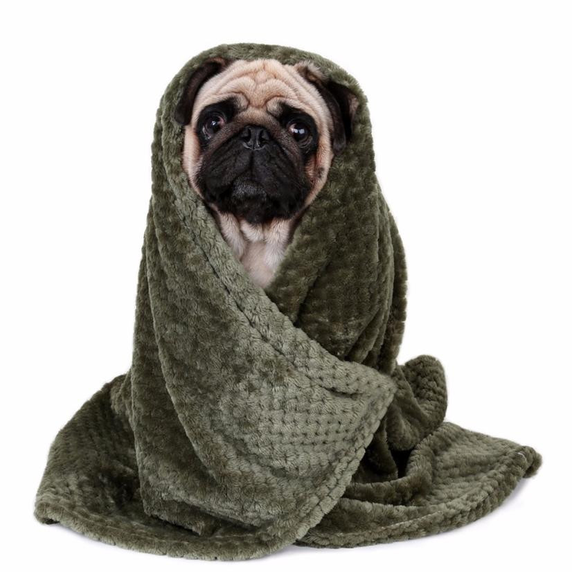 Blanket, Pet, Dog, Warm — image 3