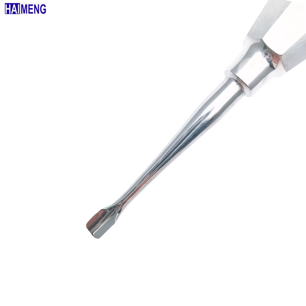 Veterinary Rodent Dental Tooth Studdy Handle Elevators, Mascotas Tooth Lifter, Vet Hand Tools, Dental Equipments for Small Animals — image 5