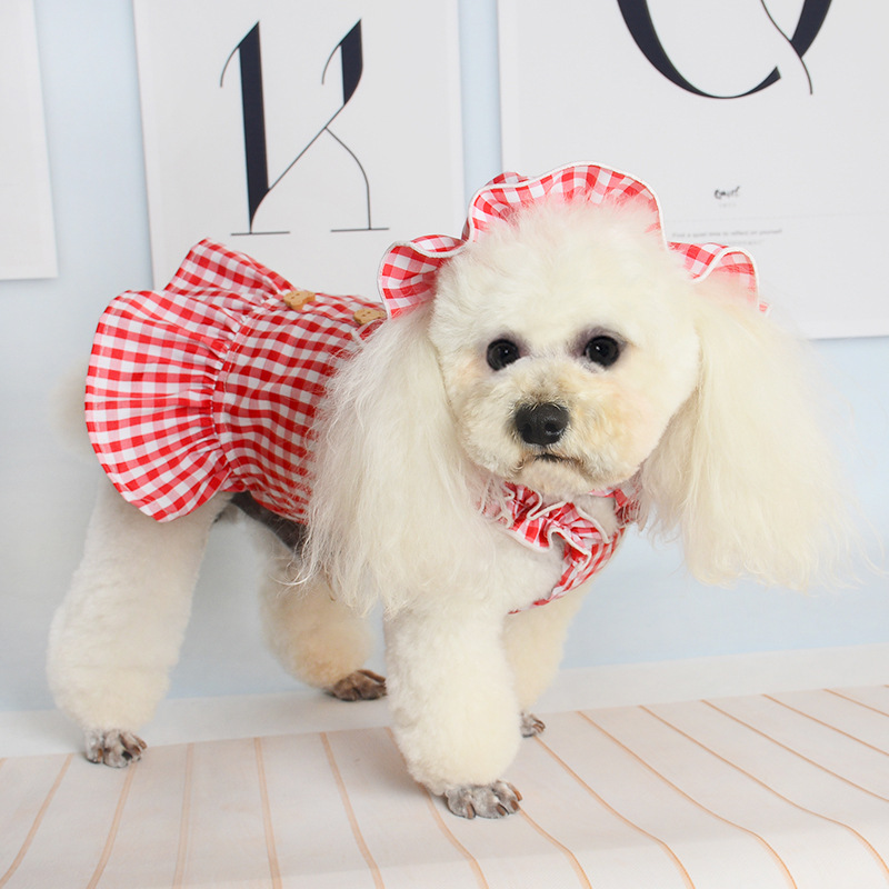 New Spring And Summer Pet Clothes Dog Even Clothes Thin Section Hooded Plaid Ins Pastoral Style Cat Two-Legged Clothes — image 3