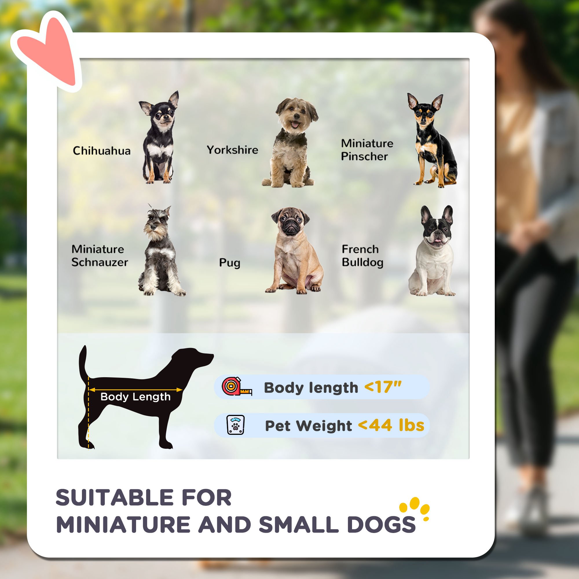 Cochecito para Mascotas de 3 Ruedas para Perros Pequeños y Medianos con Techo Ajustable, Correa de Seguridad y Cesta de Almacenamiento, Azul — imagen 2